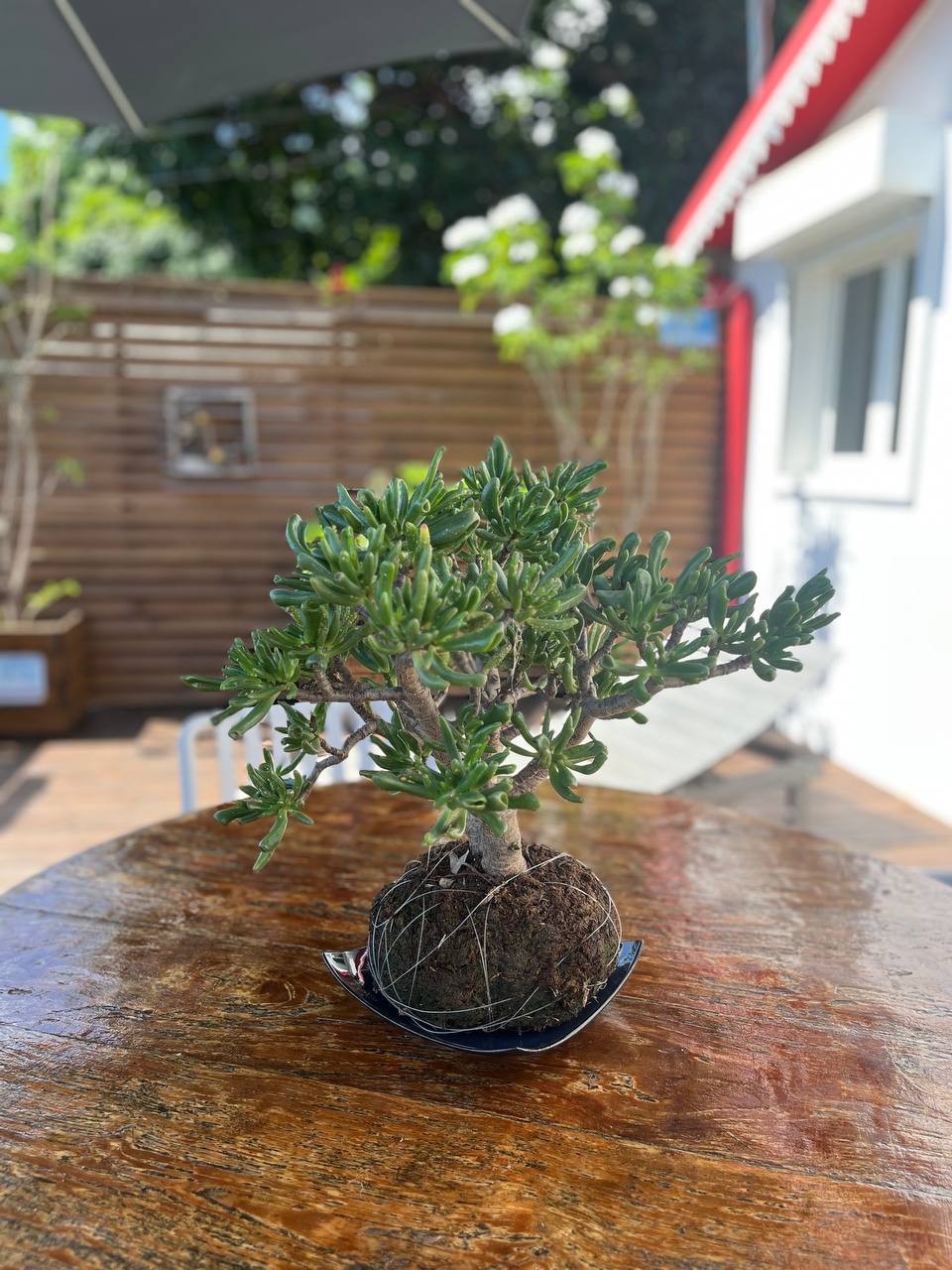 5793899037244198242 121