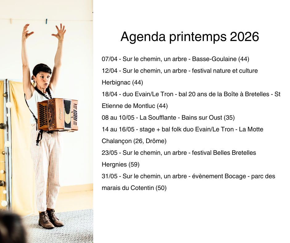 Actualités Marion Evain musicienne accordéon diatonique