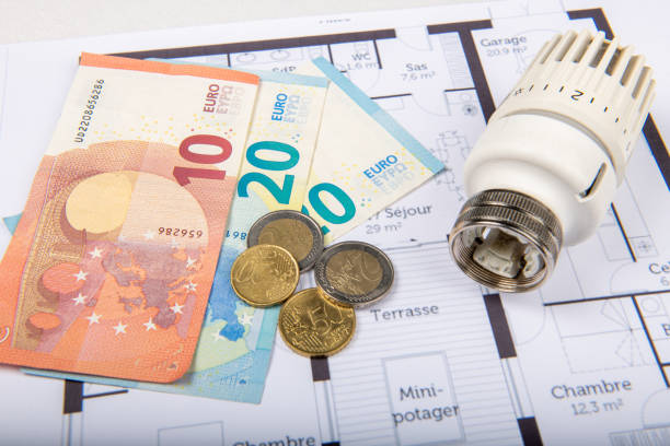 Istockphoto-1430955833-612x612