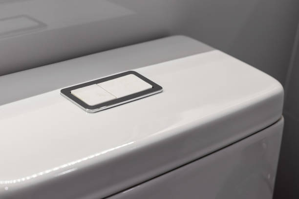 Istockphoto-1332045481-612x612