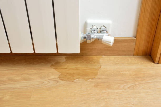 Istockphoto-1090826268-612x612