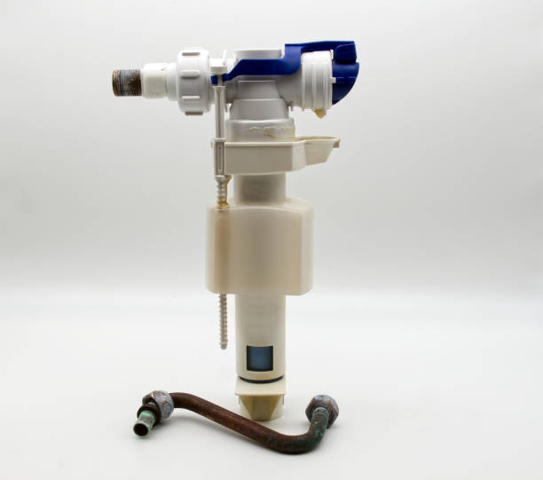 Istockphoto-1473630156-612x612