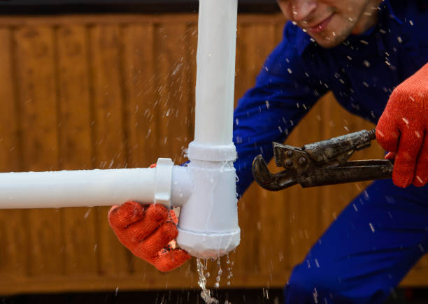 Istockphoto-1360521842-612x612