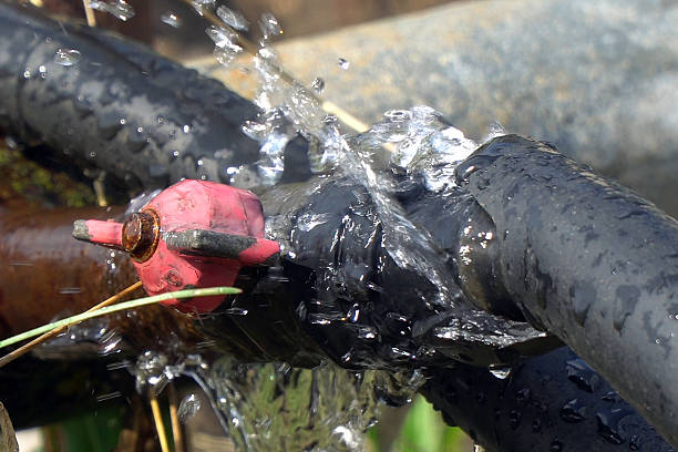 Istockphoto-2227642024-612x612