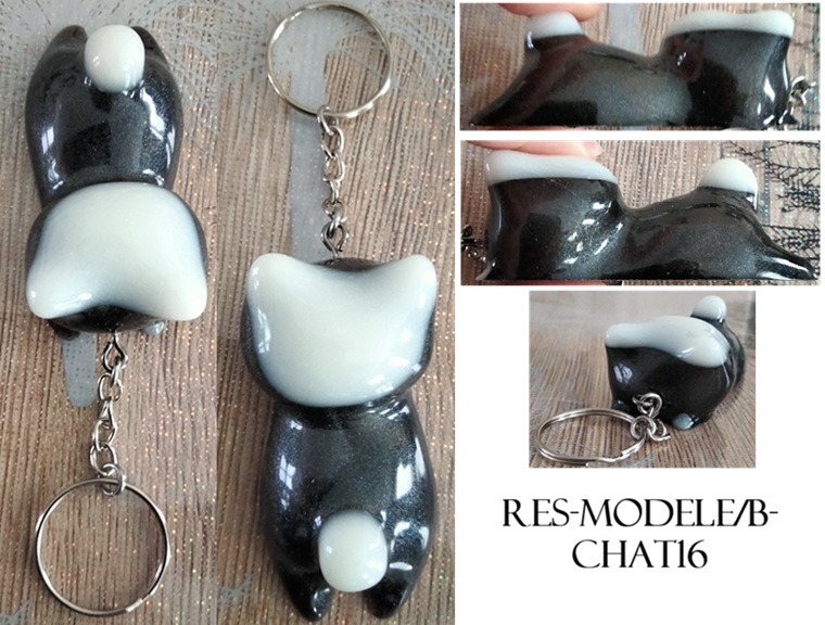 Res modele b chat16