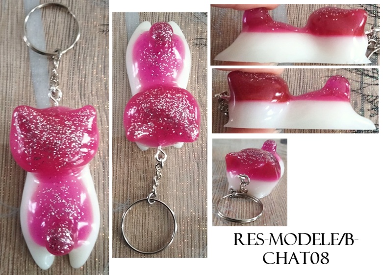 Res modele b chat08