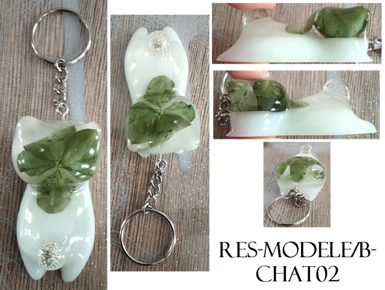 Res modele b chat02
