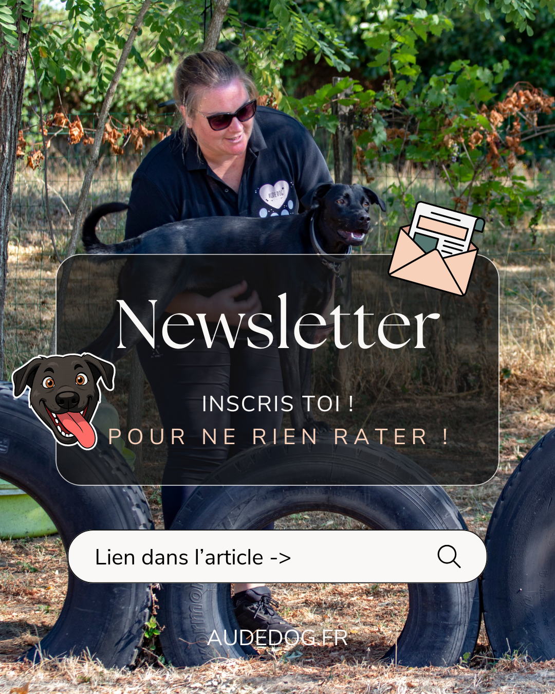 La newsletter !