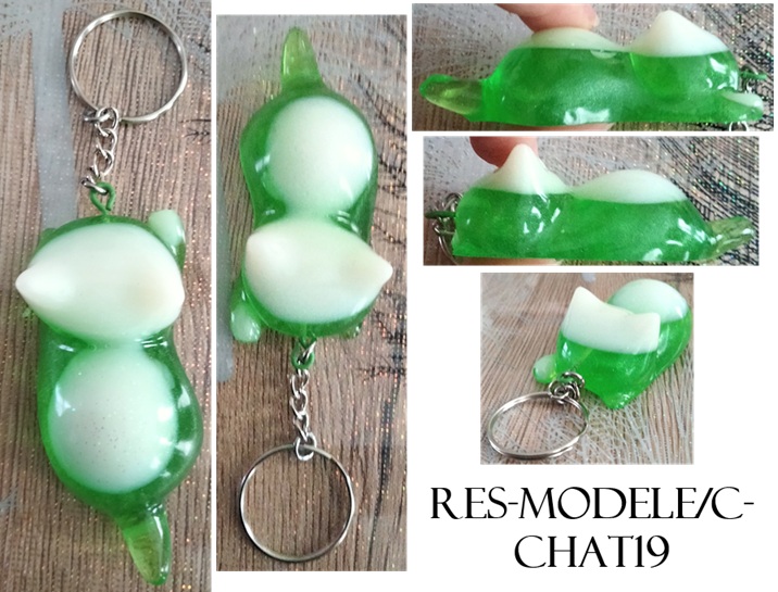 Res modele c chat19