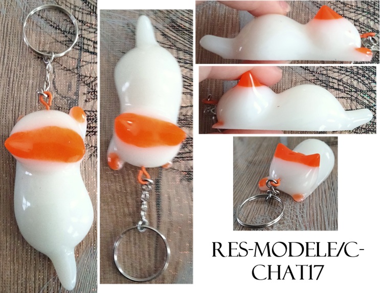 Res modele c chat17