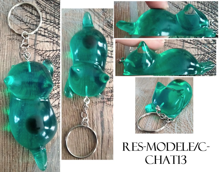 Res modele c chat13