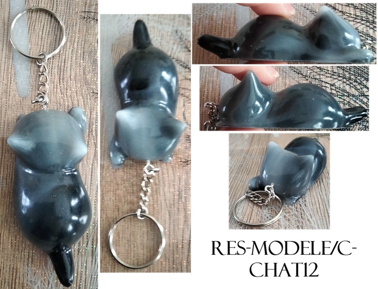 Res modele c chat12