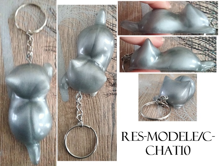 Res modele c chat10