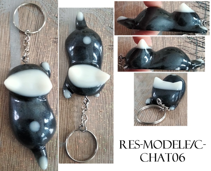 Res modele c chat06