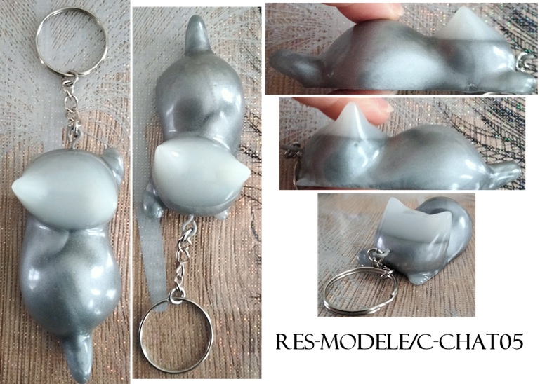 Res modele c chat05