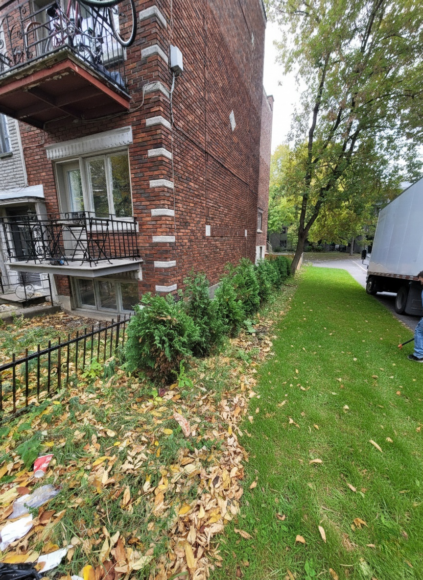 C515e4be-1723-44bd-8a25-91dd0845e710