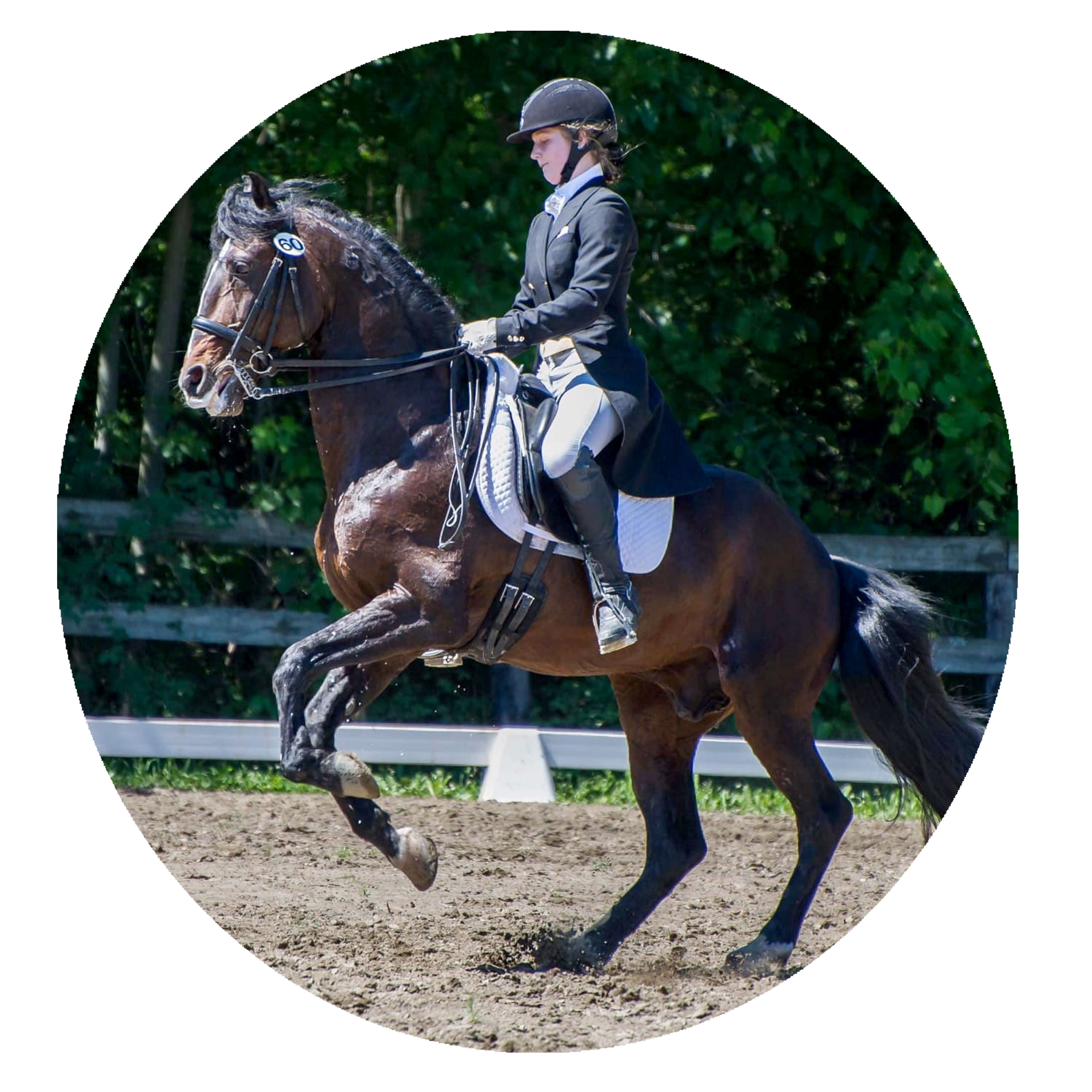 40527cbd-9833-47a9-a284-d9cce2d0141f-copie-1