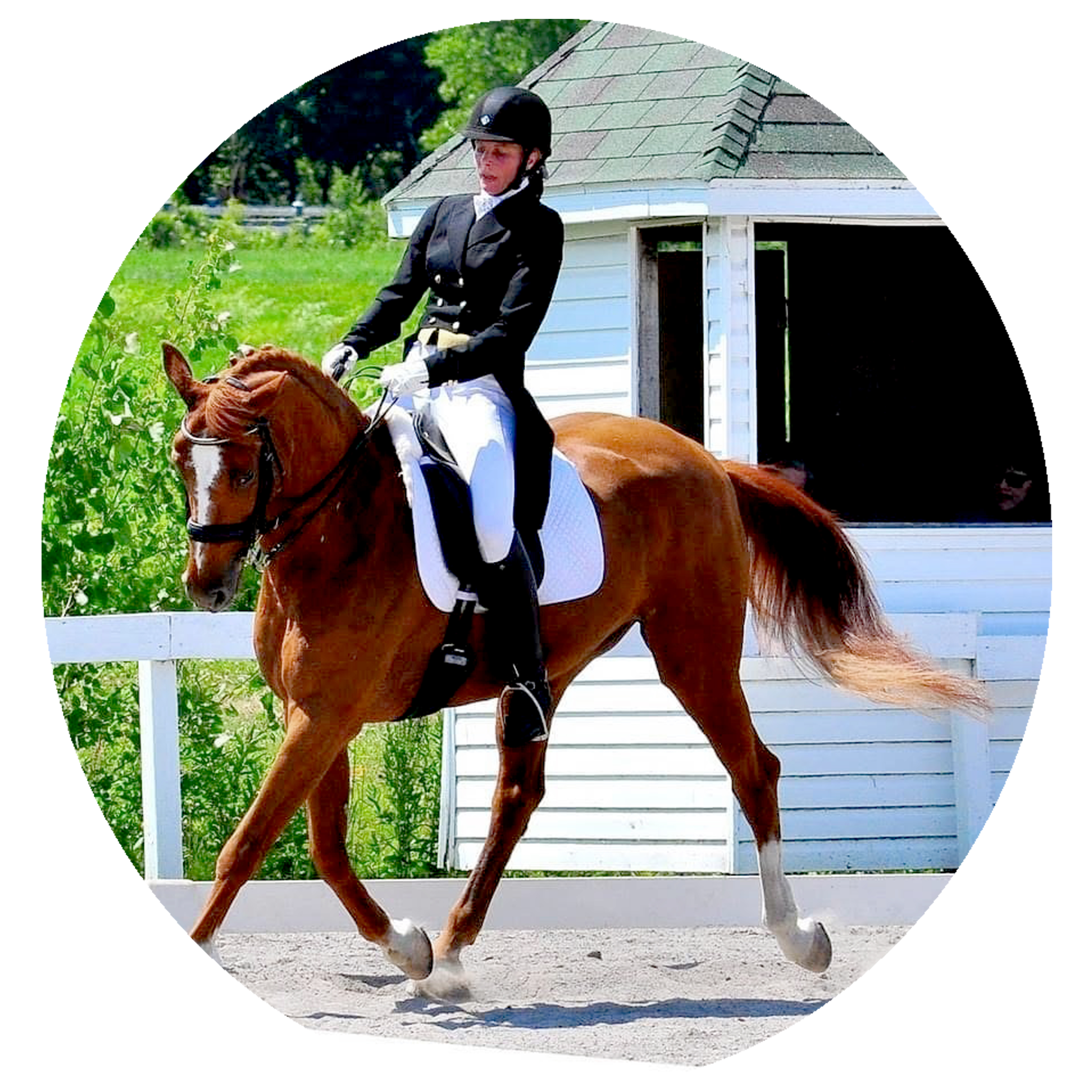 366dba54-97af-4e9b-ab2e-22bee7ceefd3-copie-1