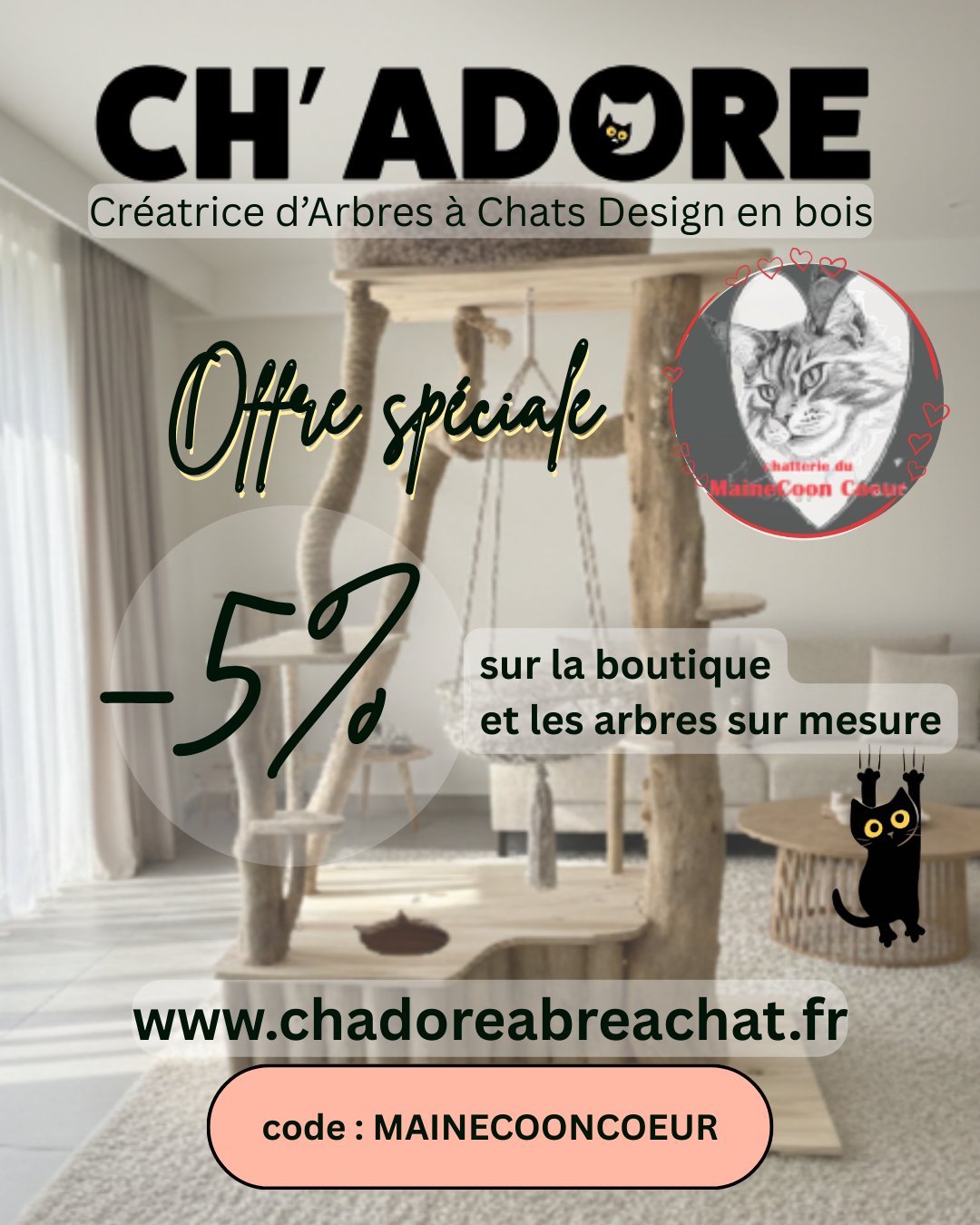 Code-de-reduction-ch-adore-mainecooncoeur