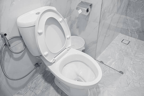 Istockphoto-2218566230-612x612