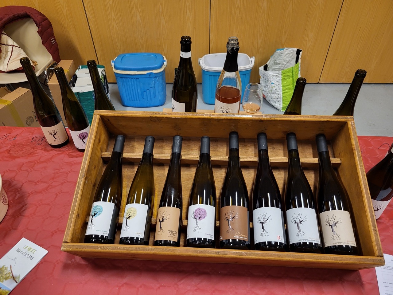 20260127 213903 grande