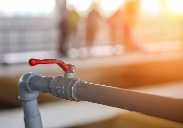 Istockphoto-2230469207-612x612