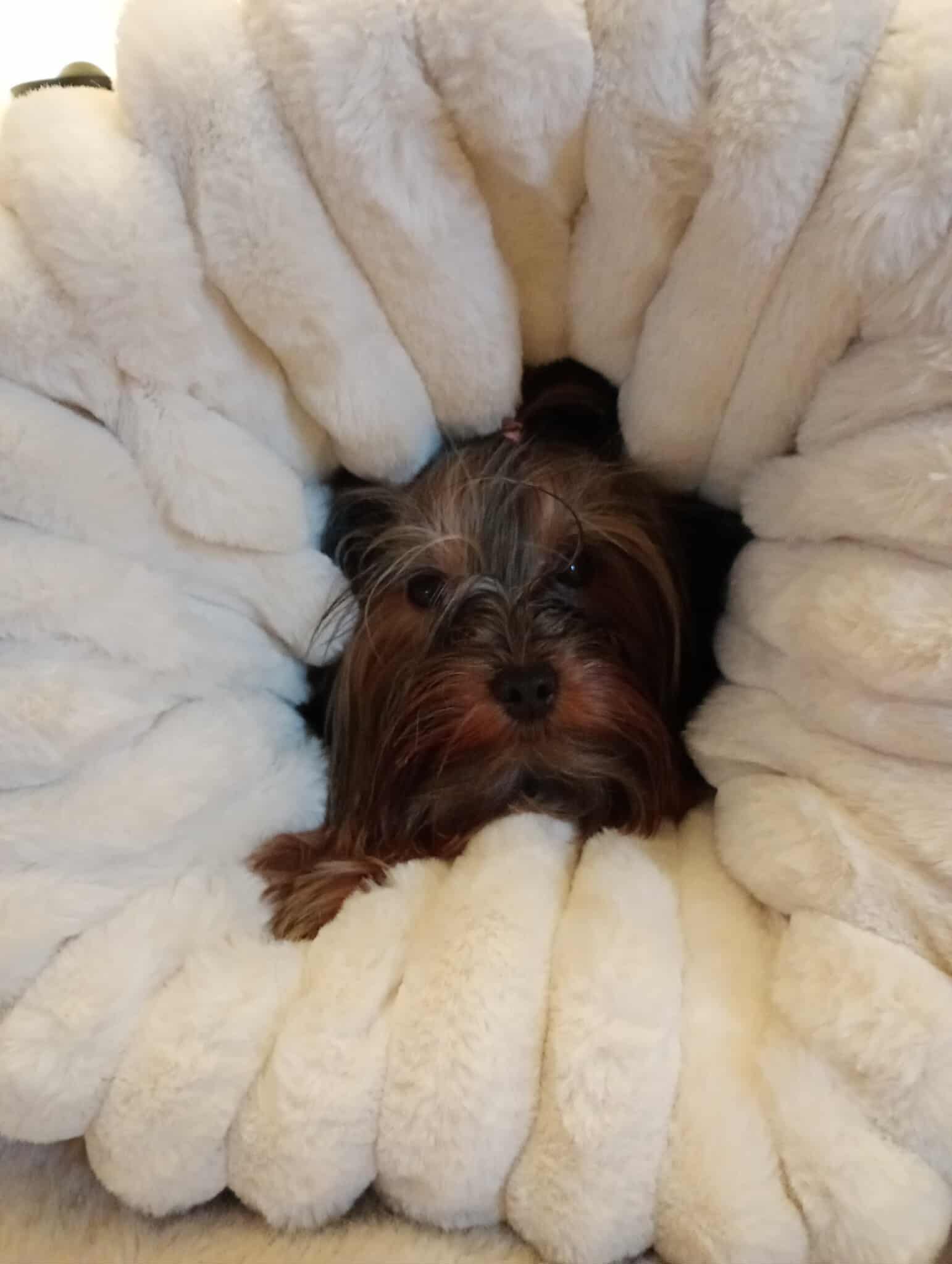 Received 896841192814061