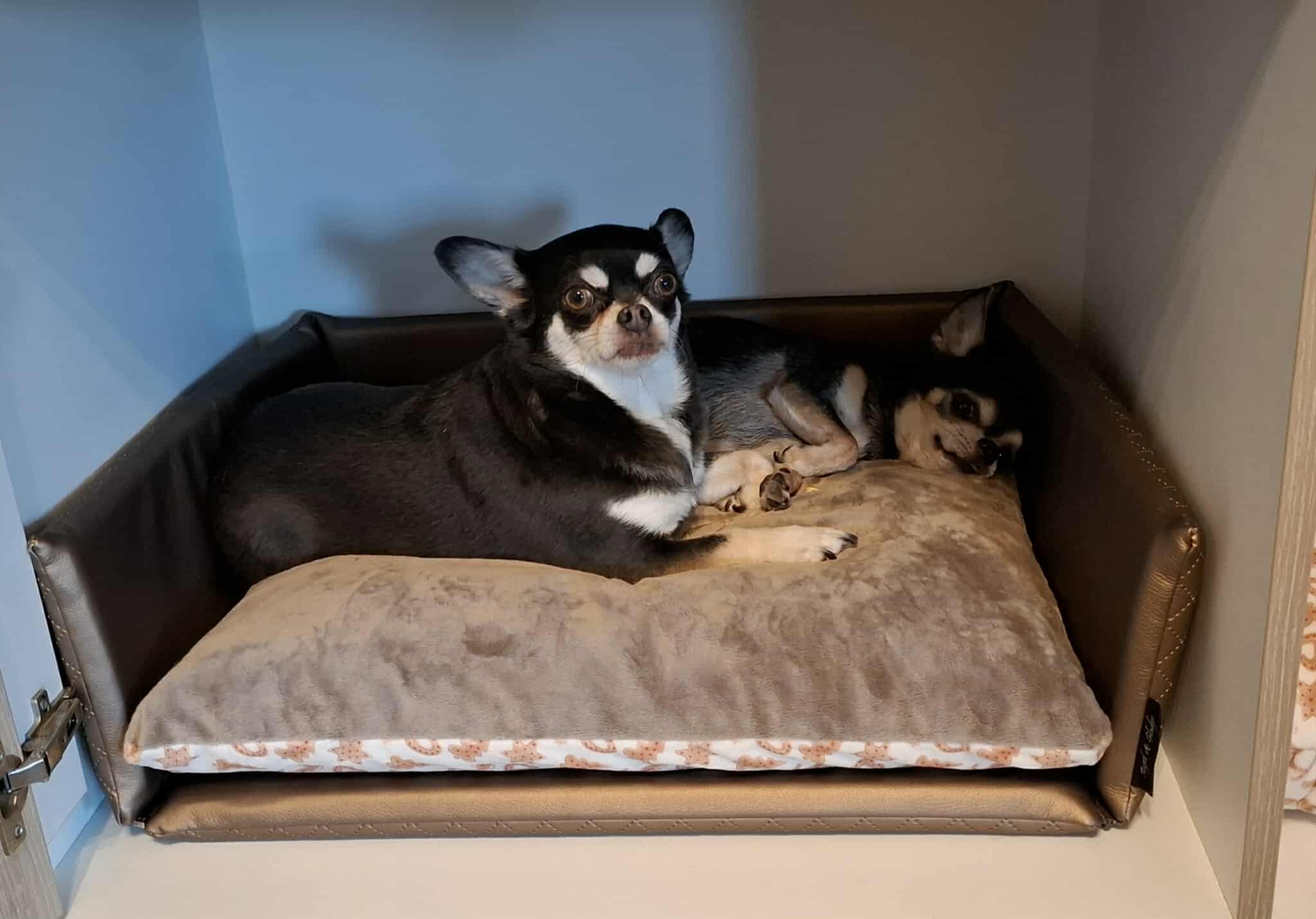 Received 923040126945475