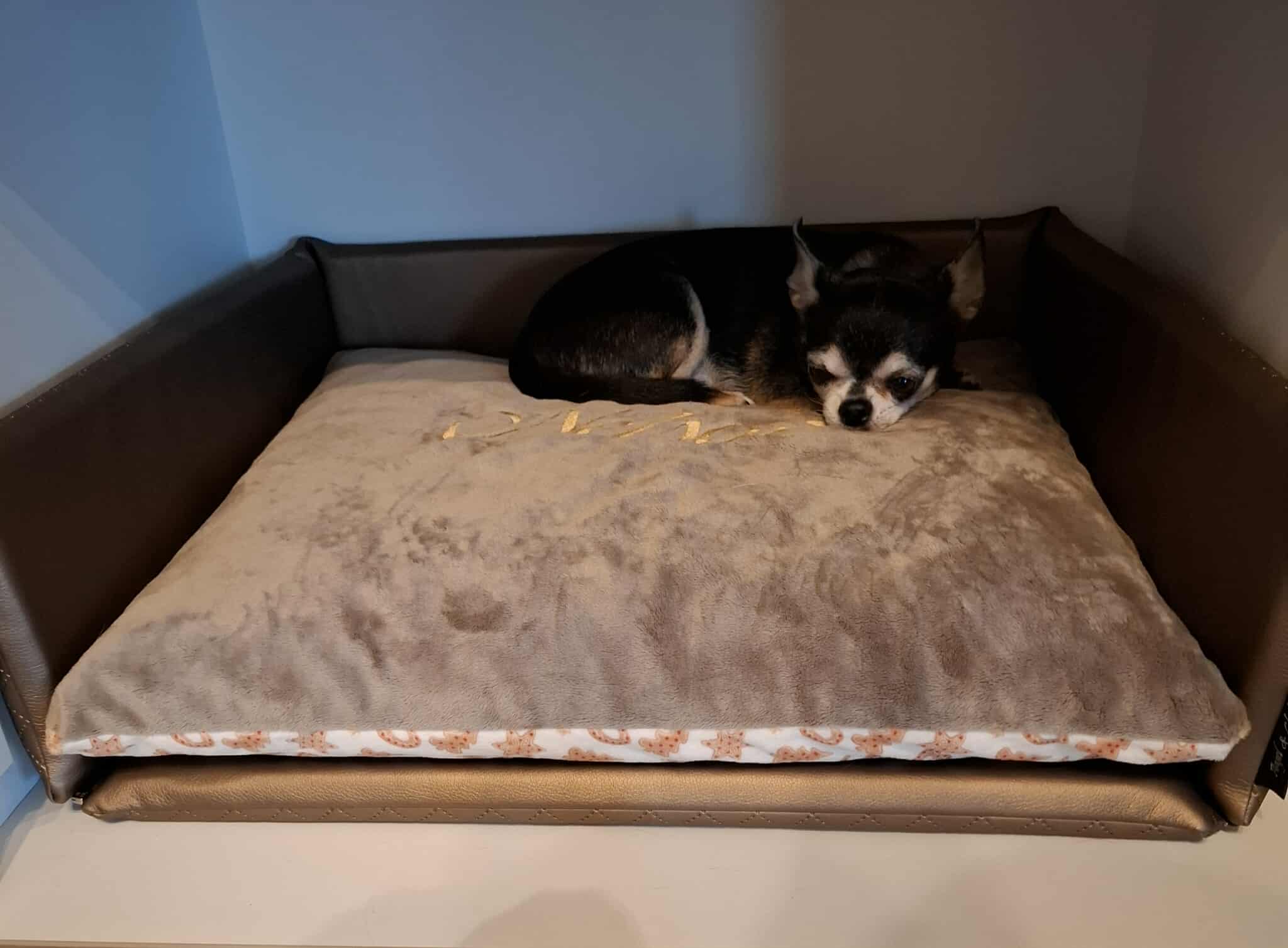 Received 2080267469393915