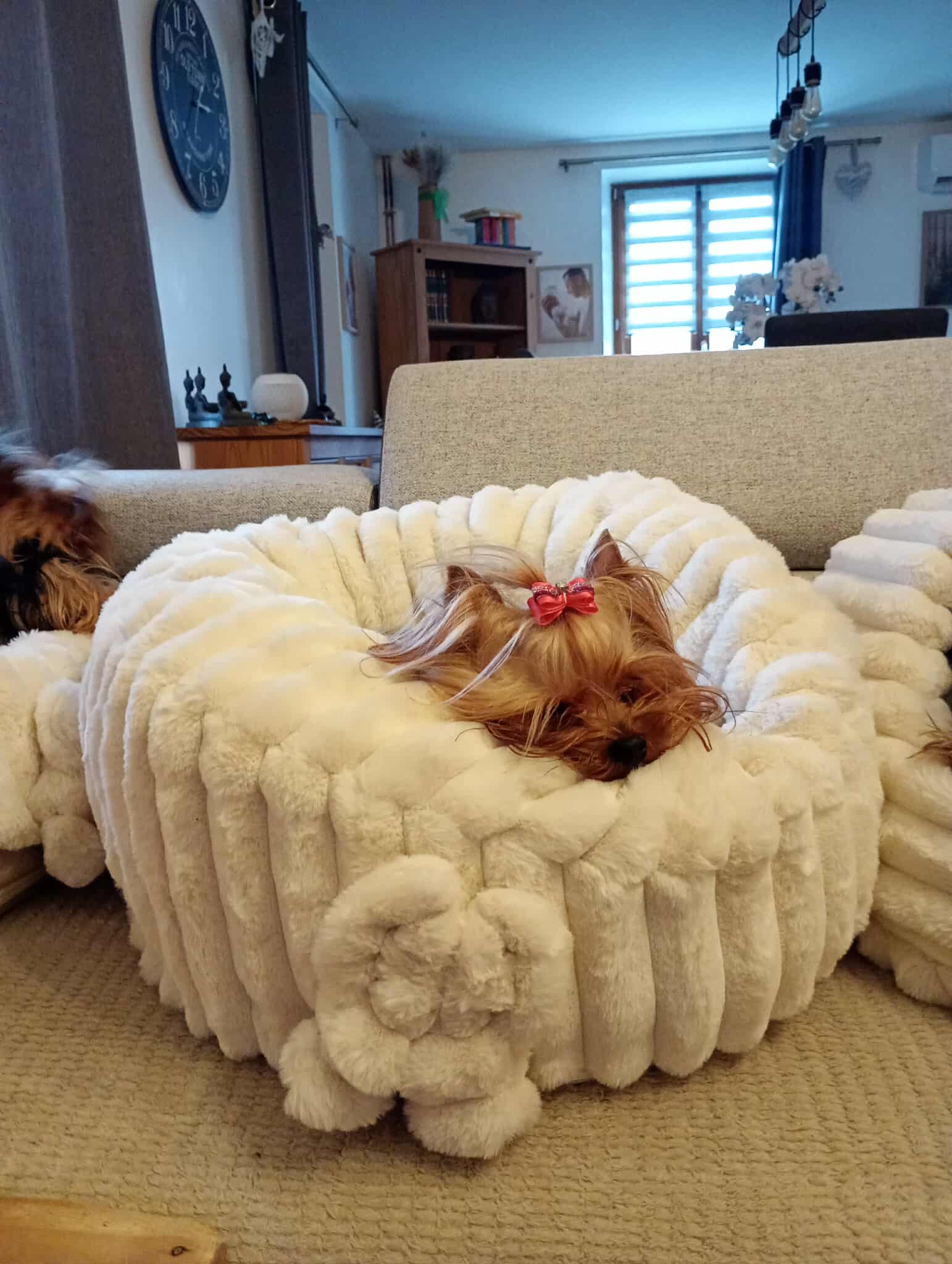 Received 2344046826107612