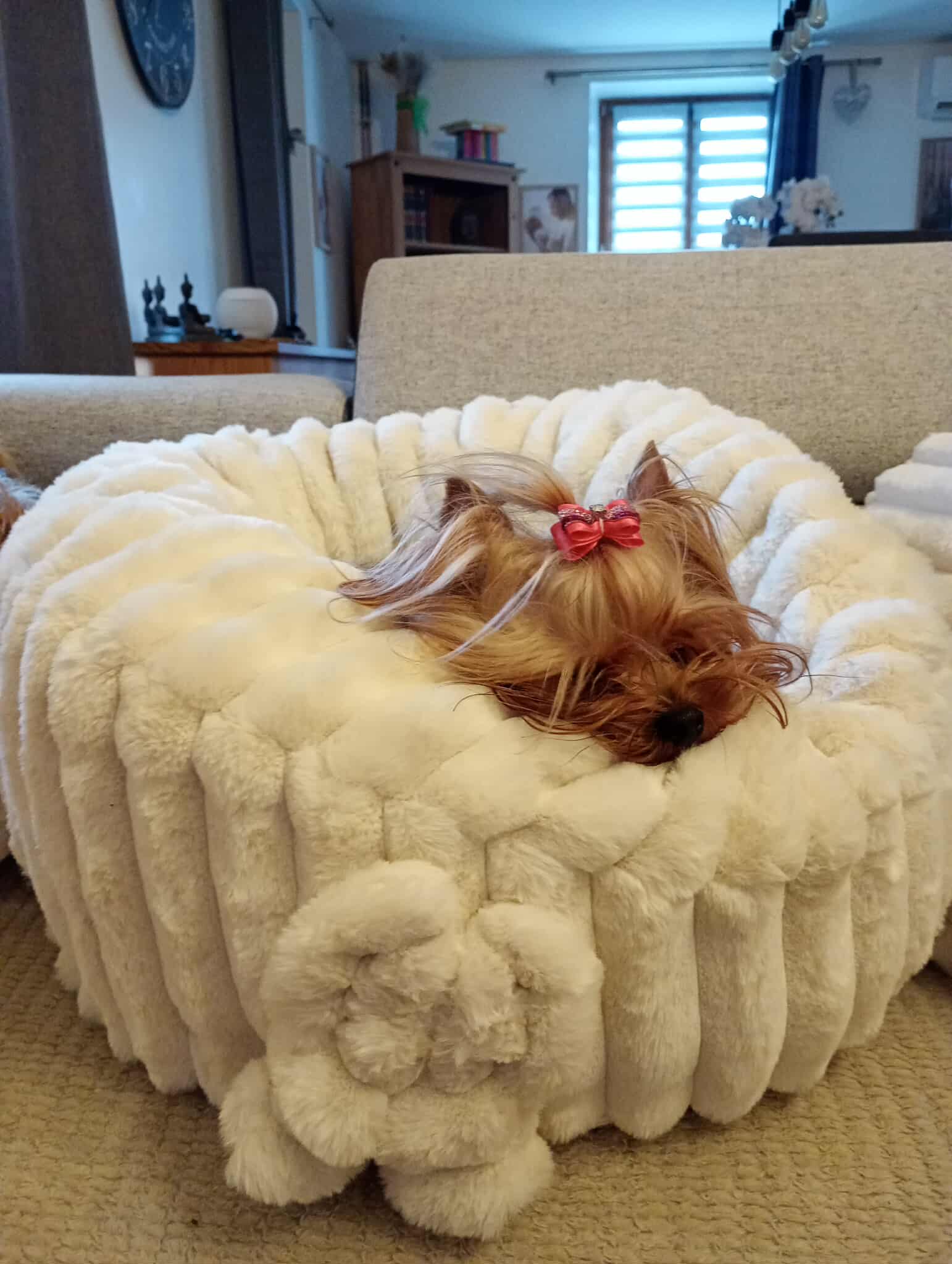 Received 901877672574439