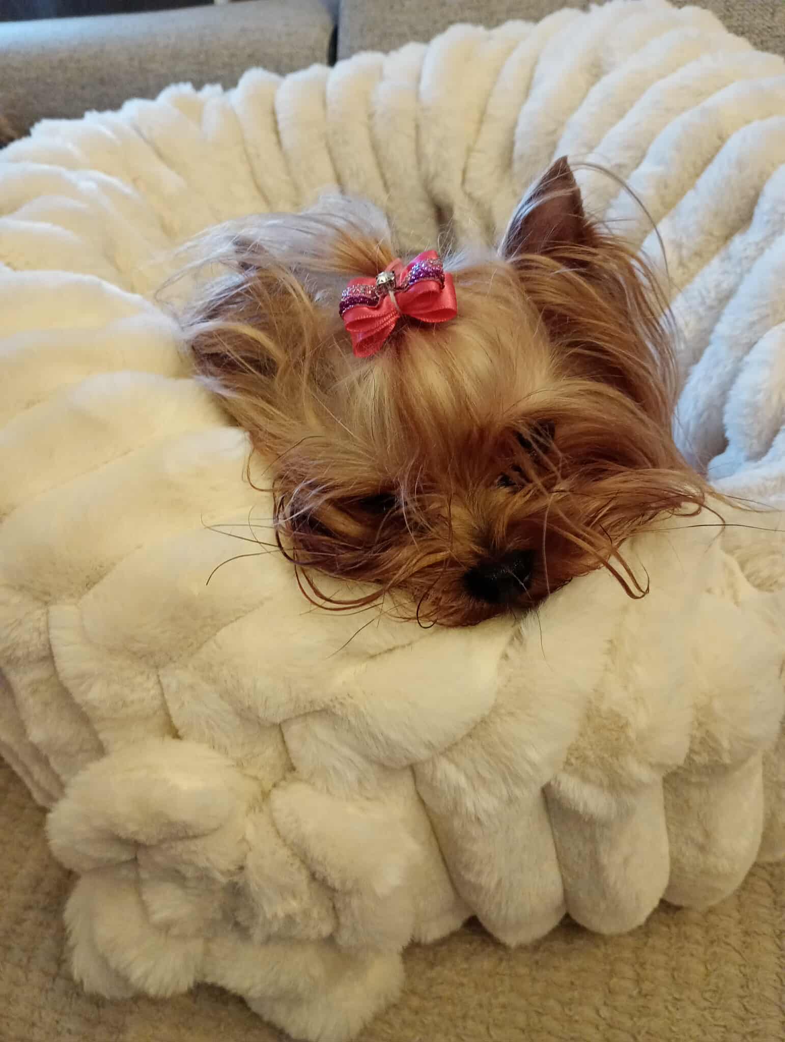 Received 1420064192831330