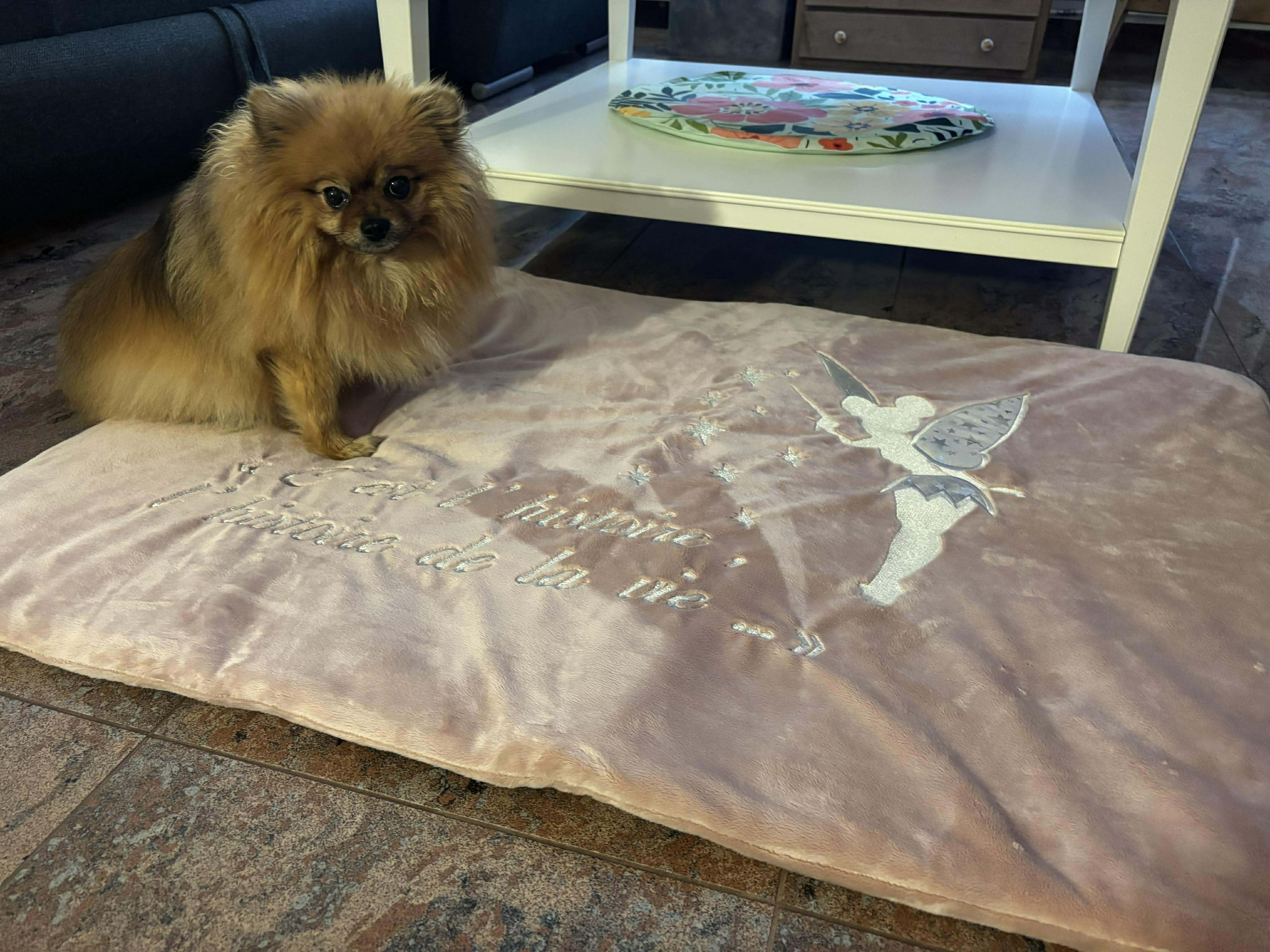 Received 933773539213448