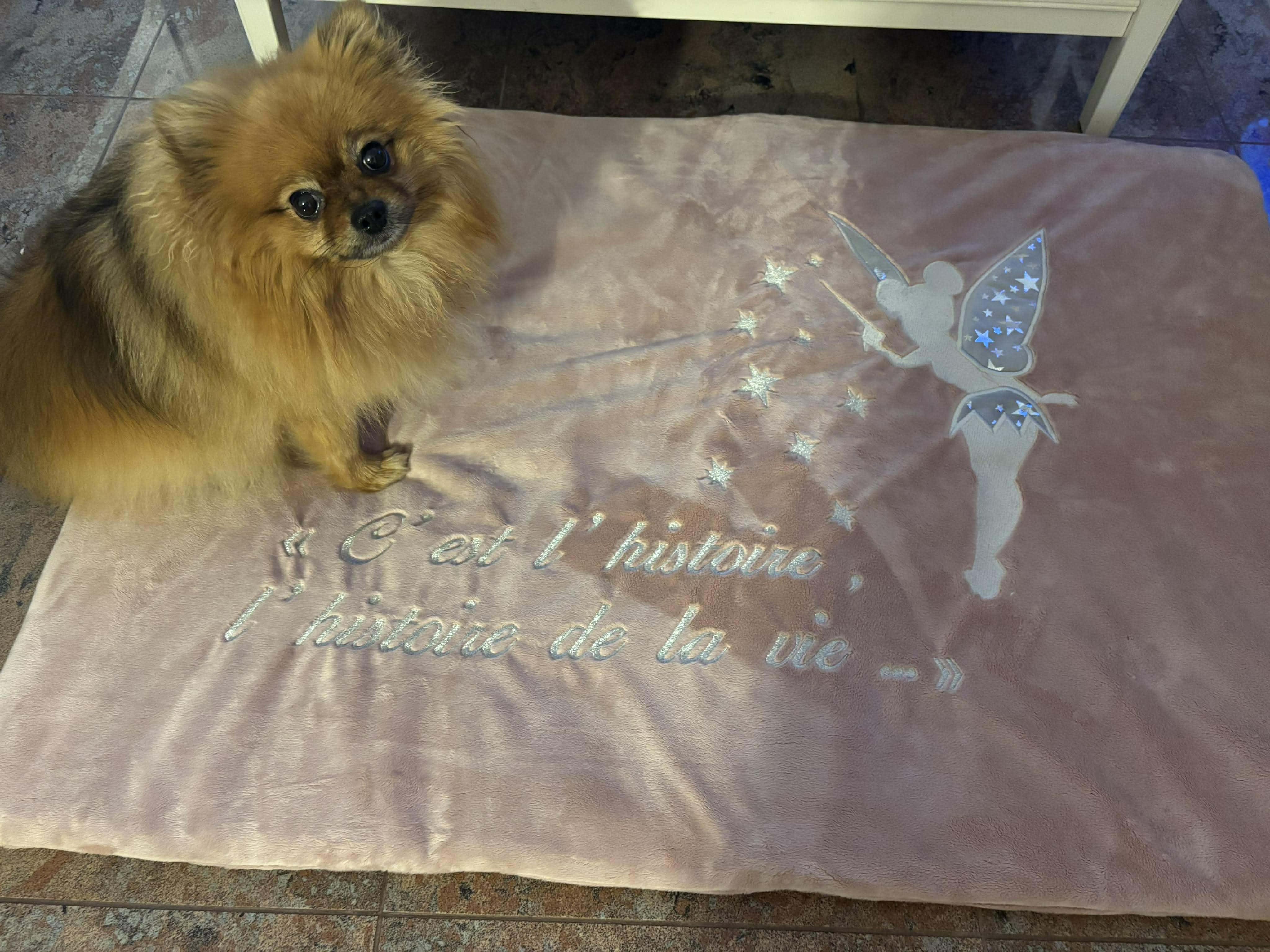 Received 902223375510721