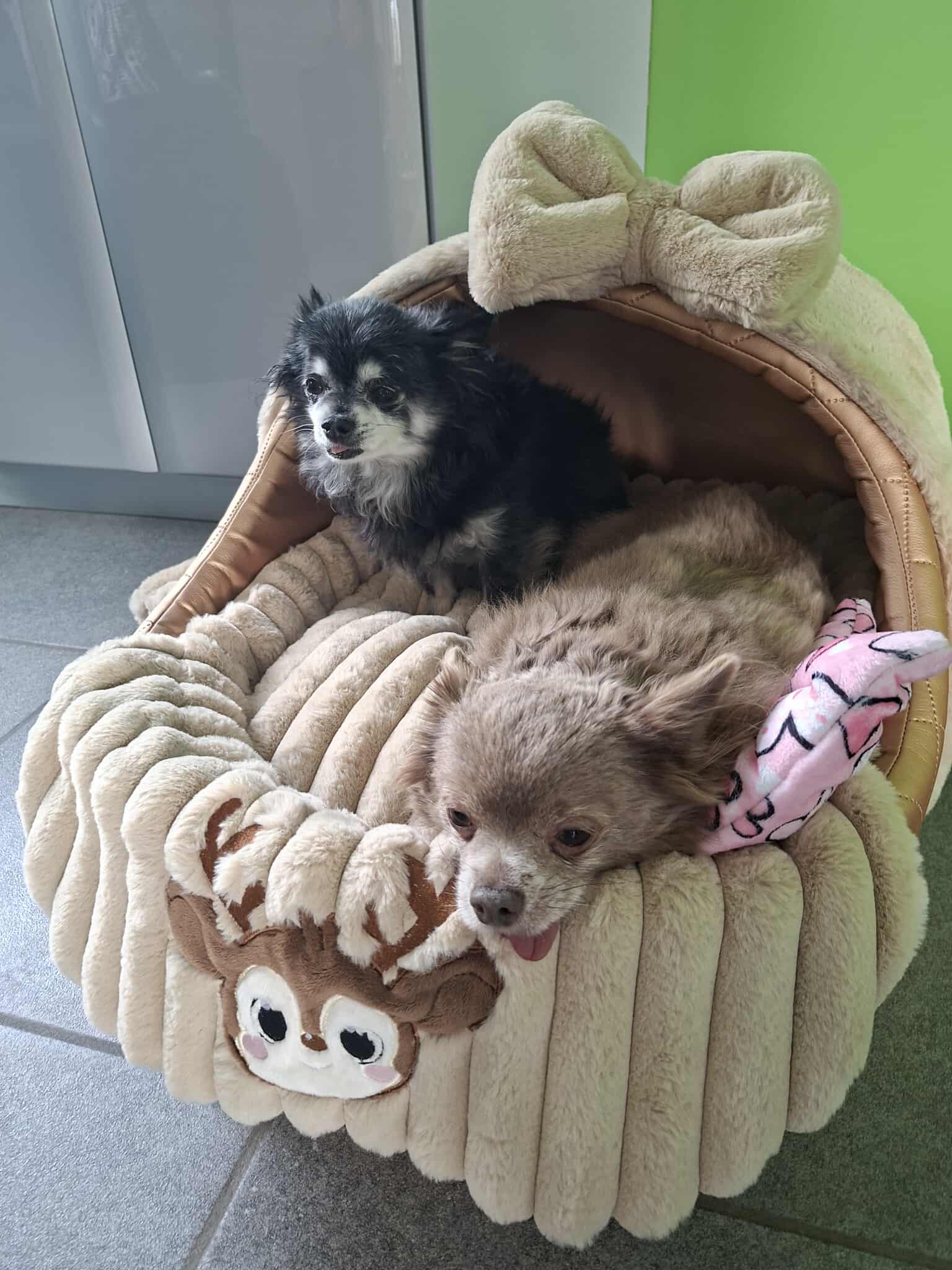 Received 1447499370224217