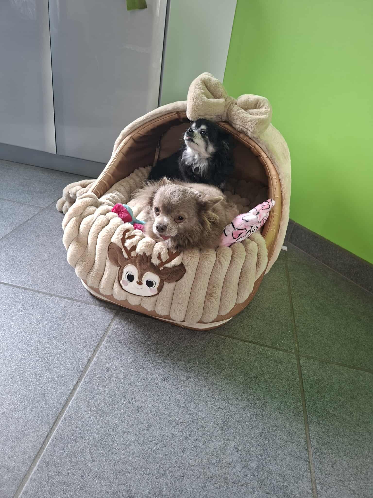 Received 770416112298109