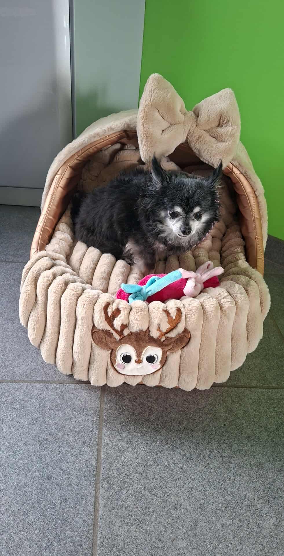 Received 2301486870361880