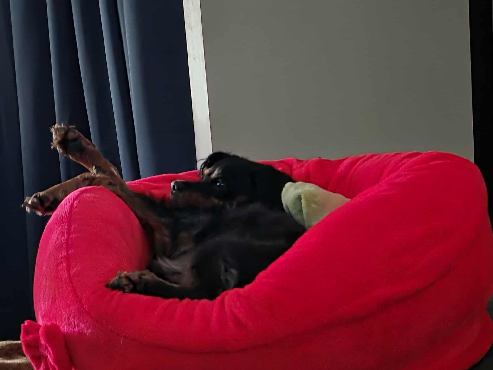 Received 3224040127796066