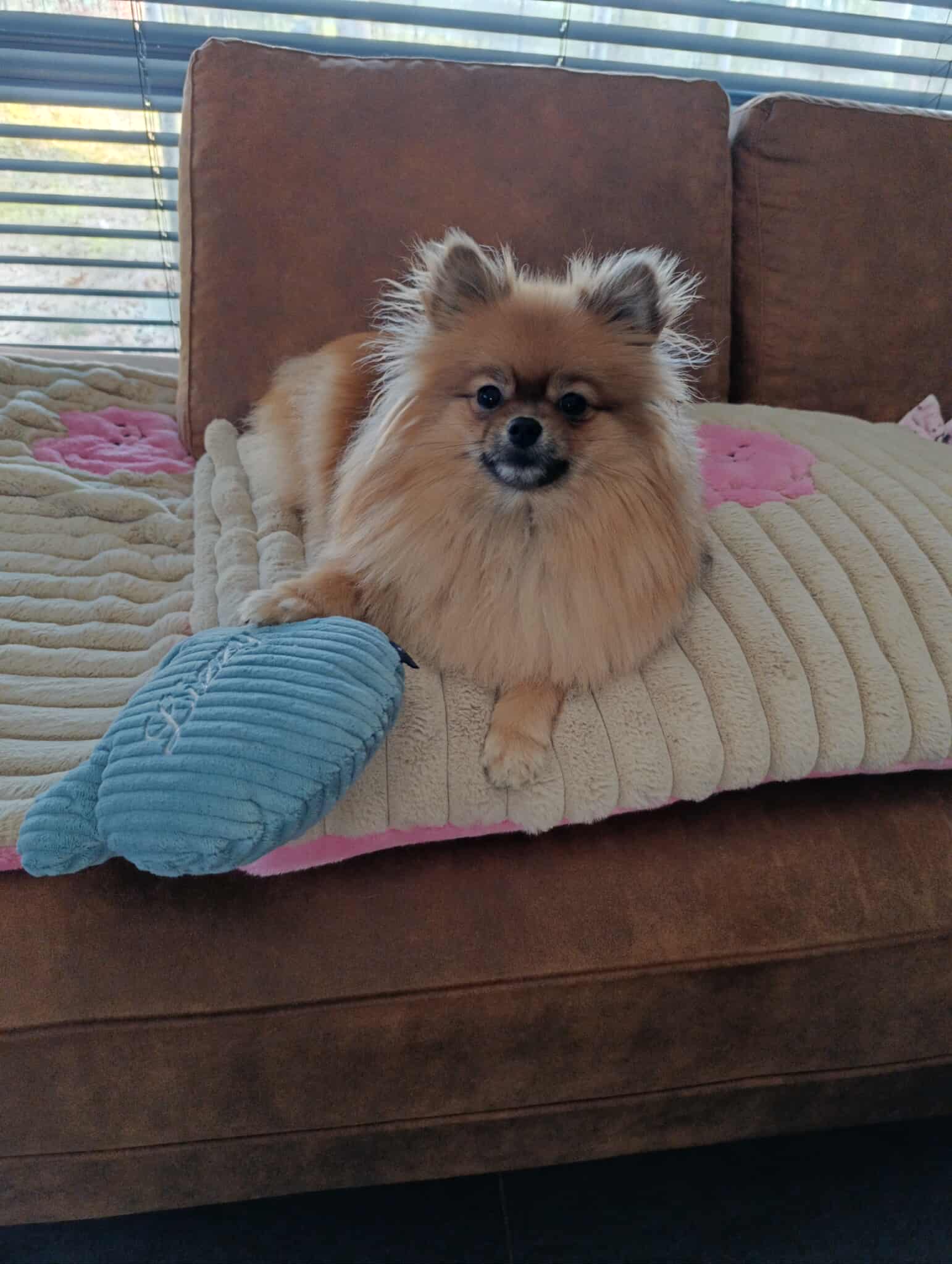 Received 770515862319271