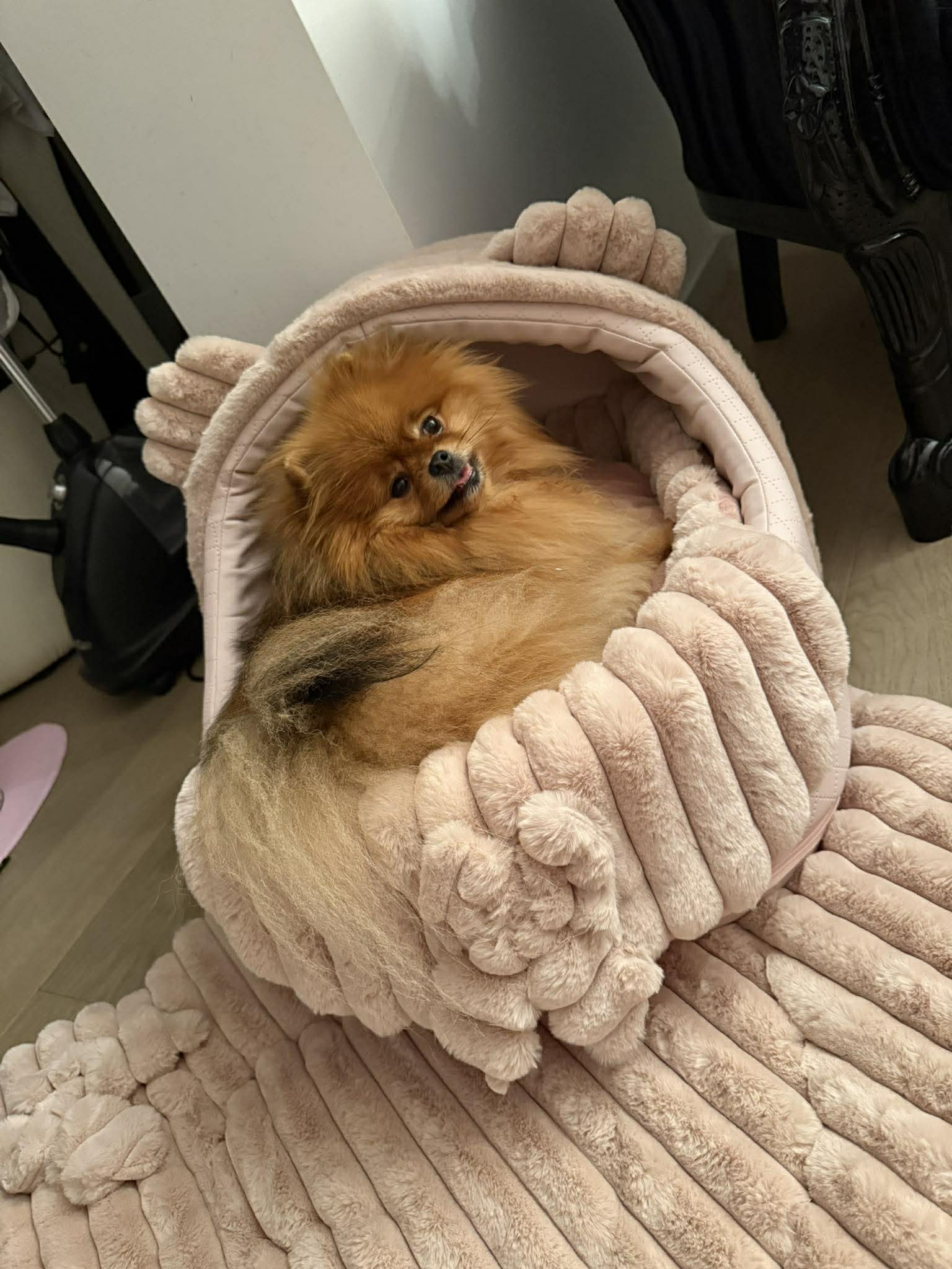 Received 1182232300656962