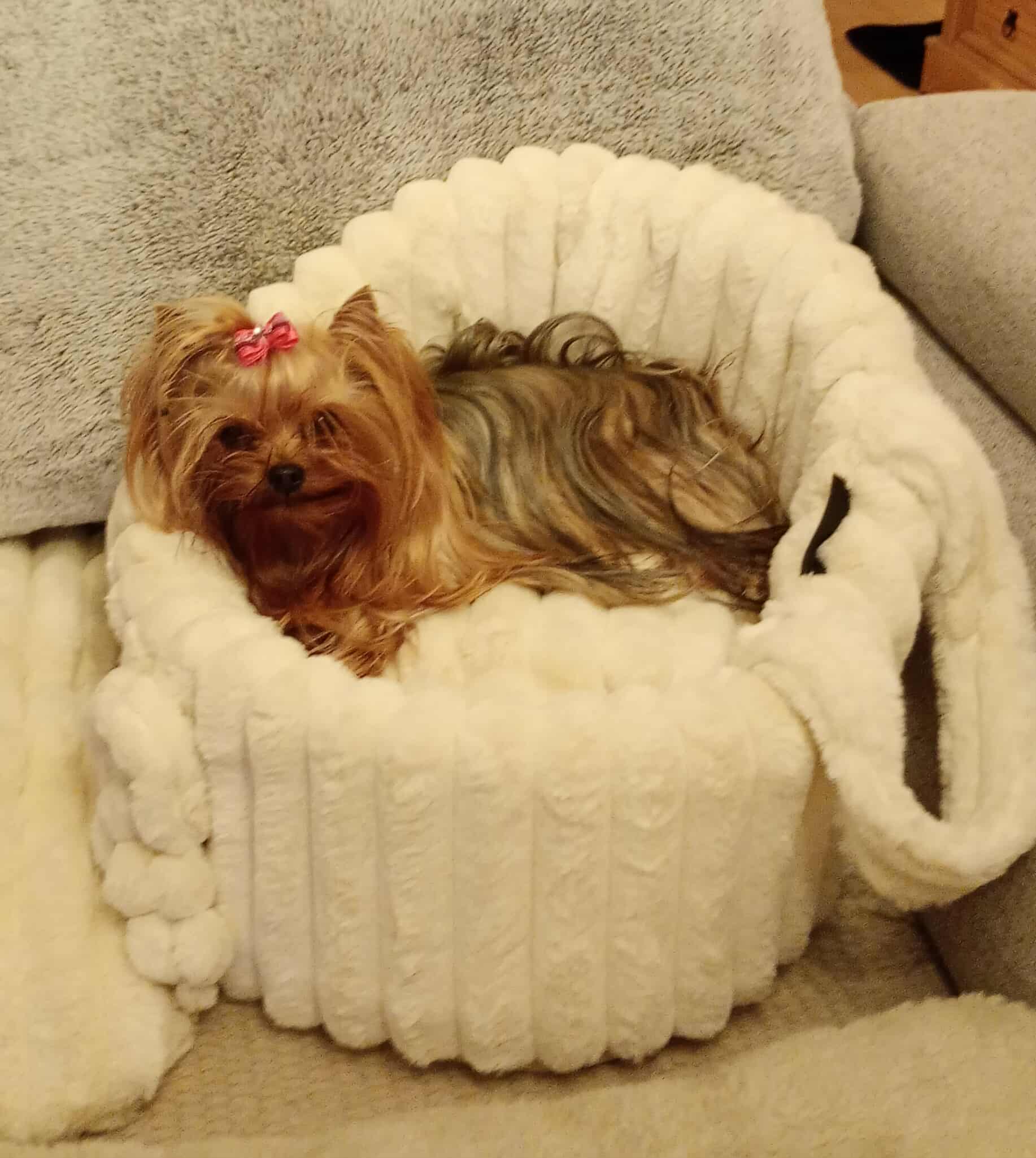 Received 1391804748877704