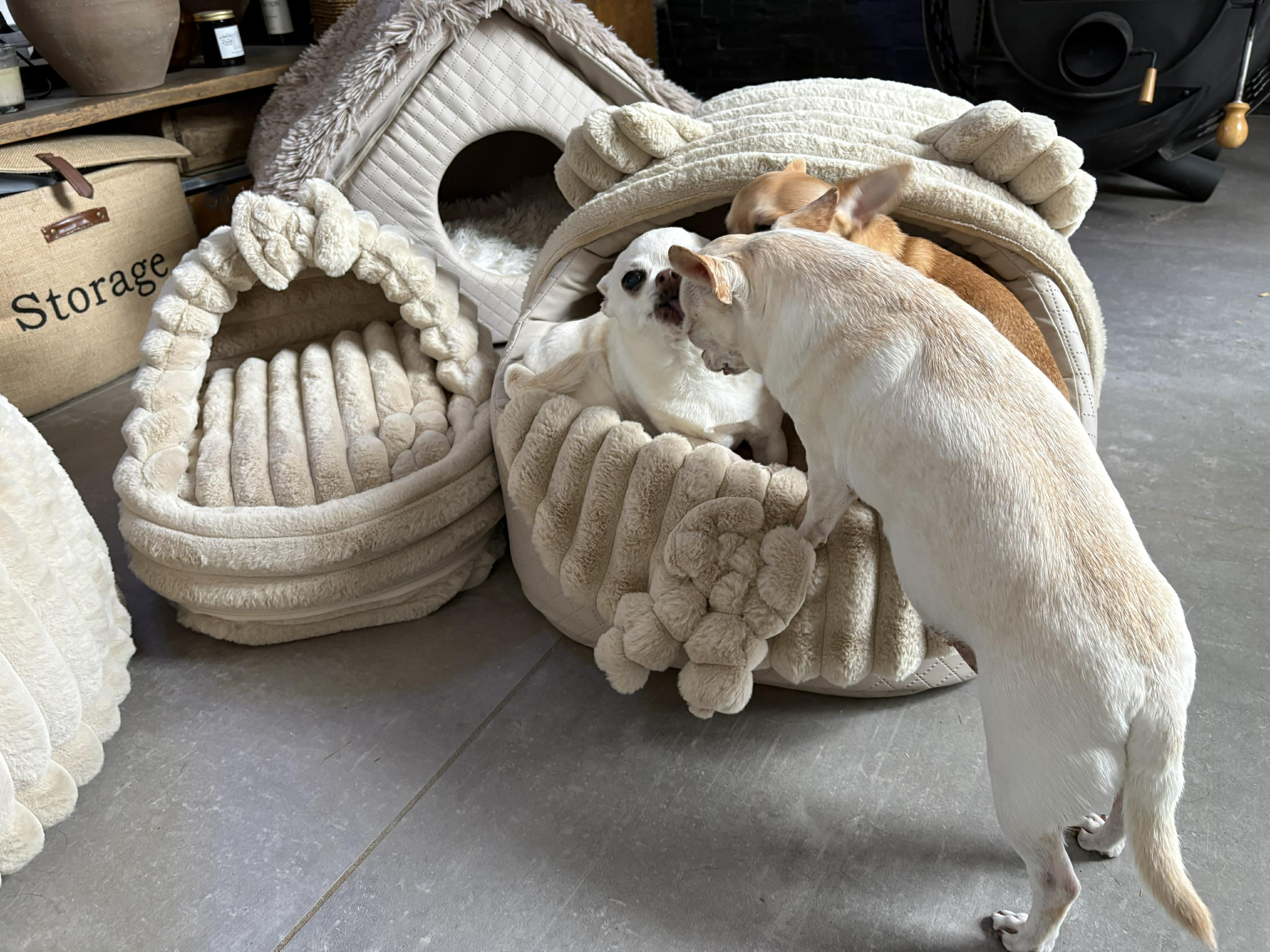 Received 1376535224226433