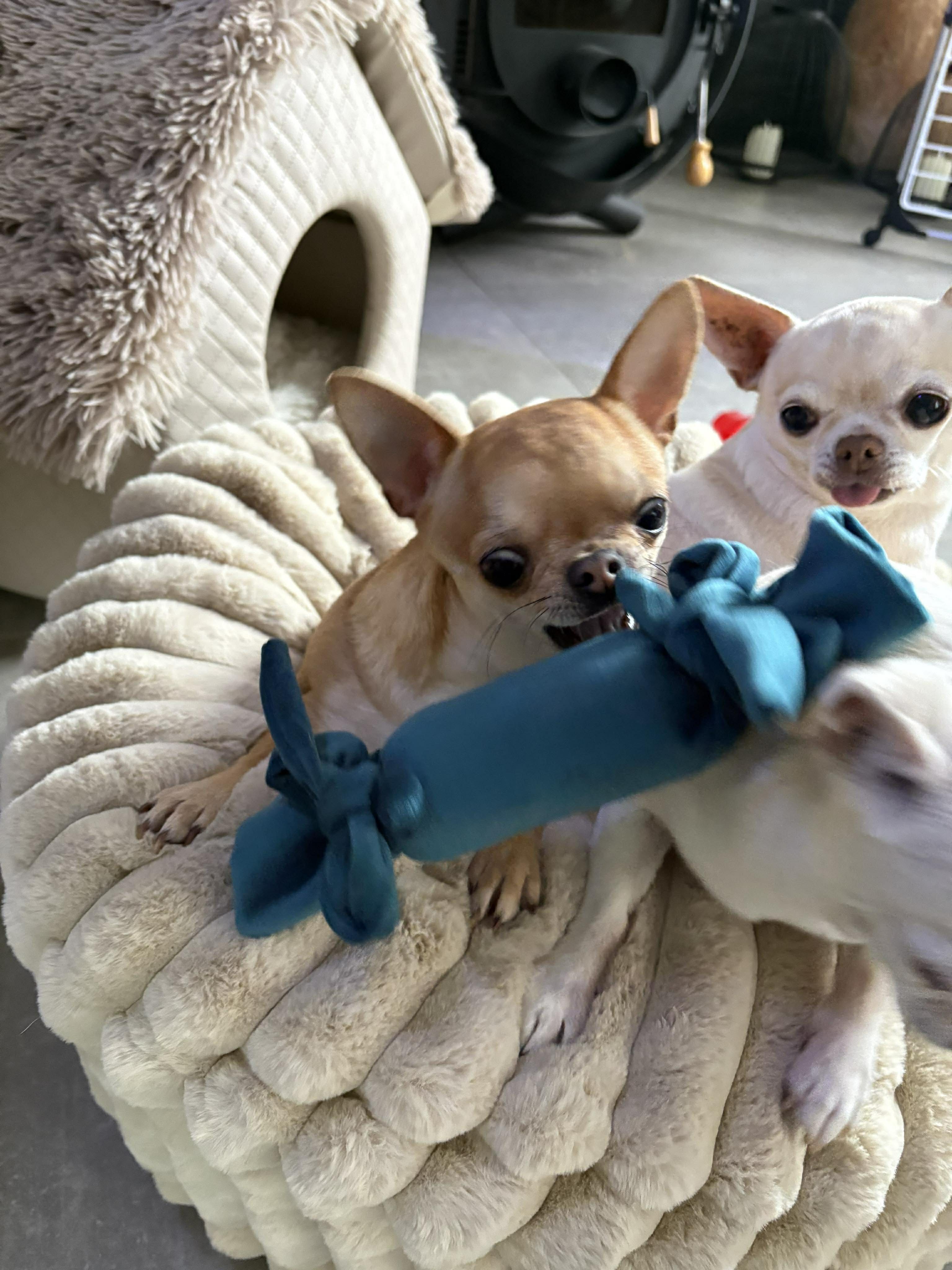 Received 1228263392787528