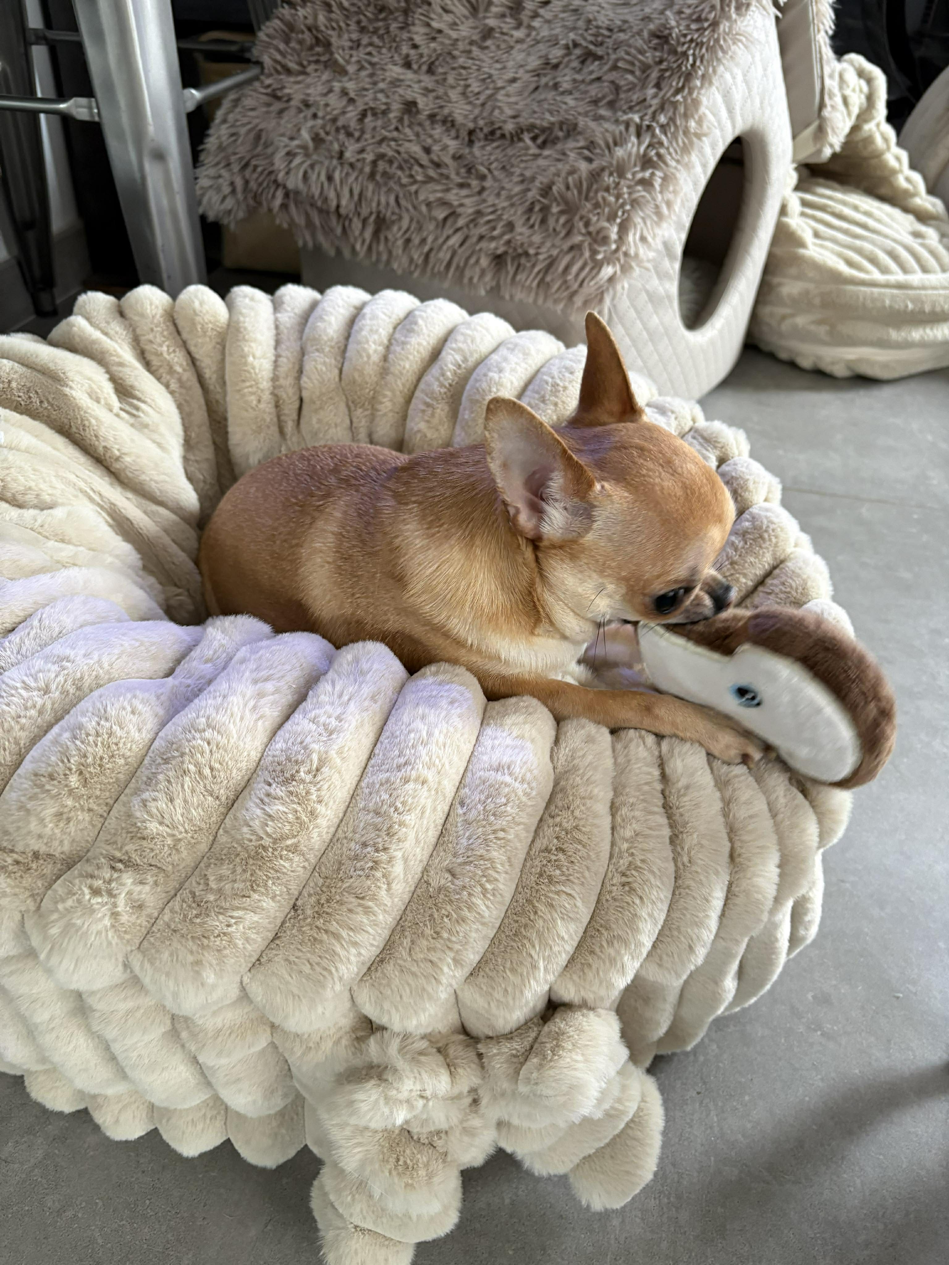 Received 1572245823830591