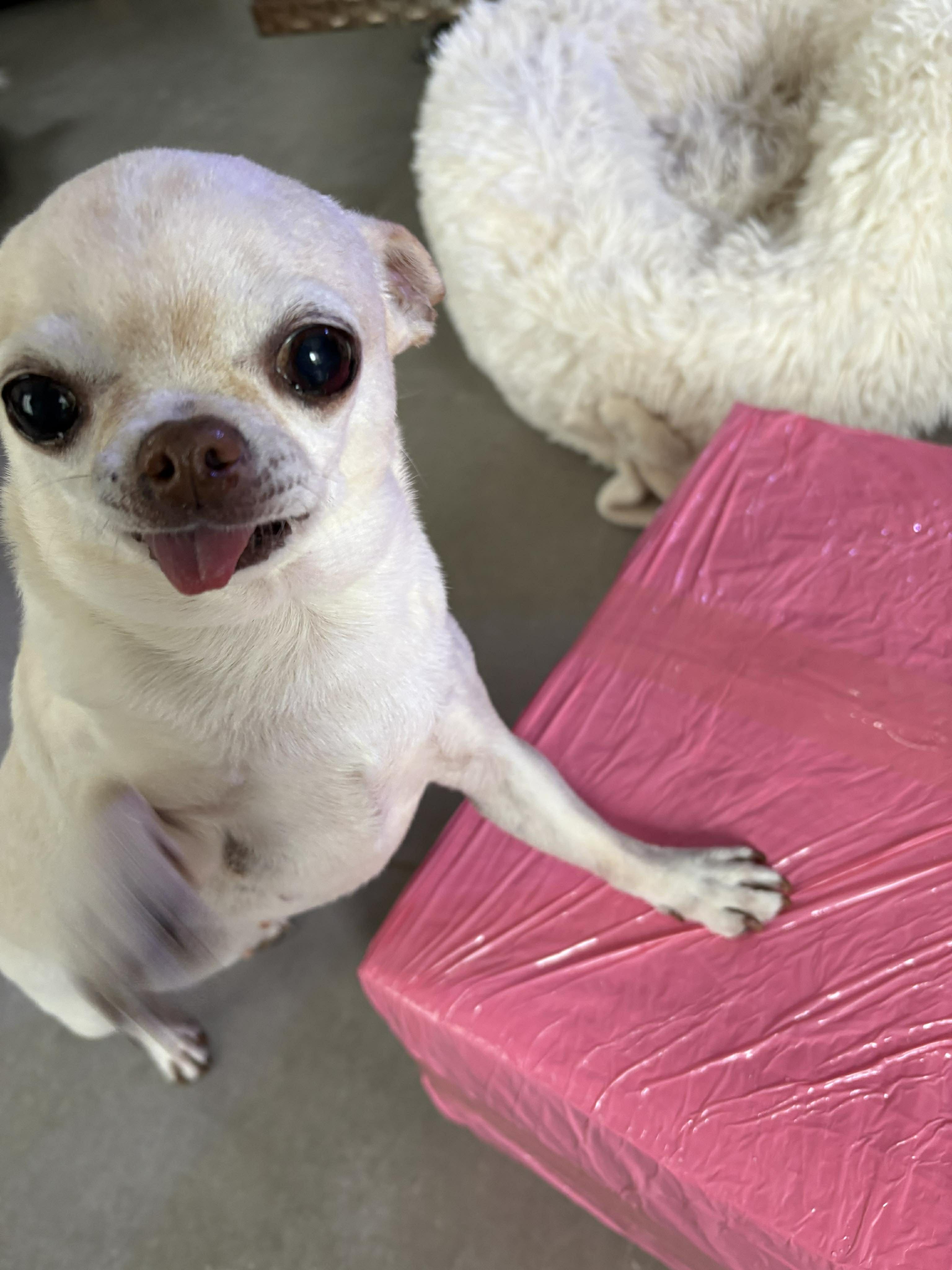 Received 1415724126113660