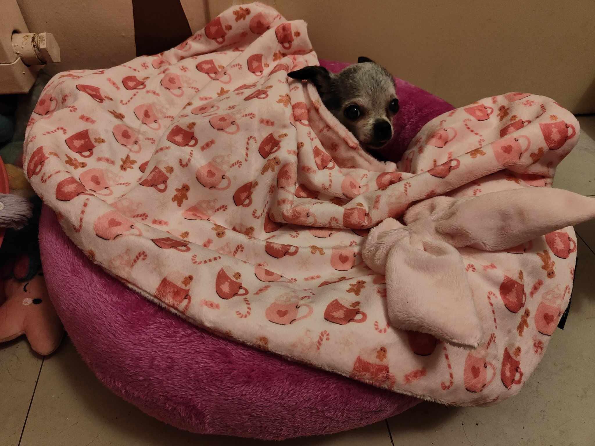 Received 1449588273508659