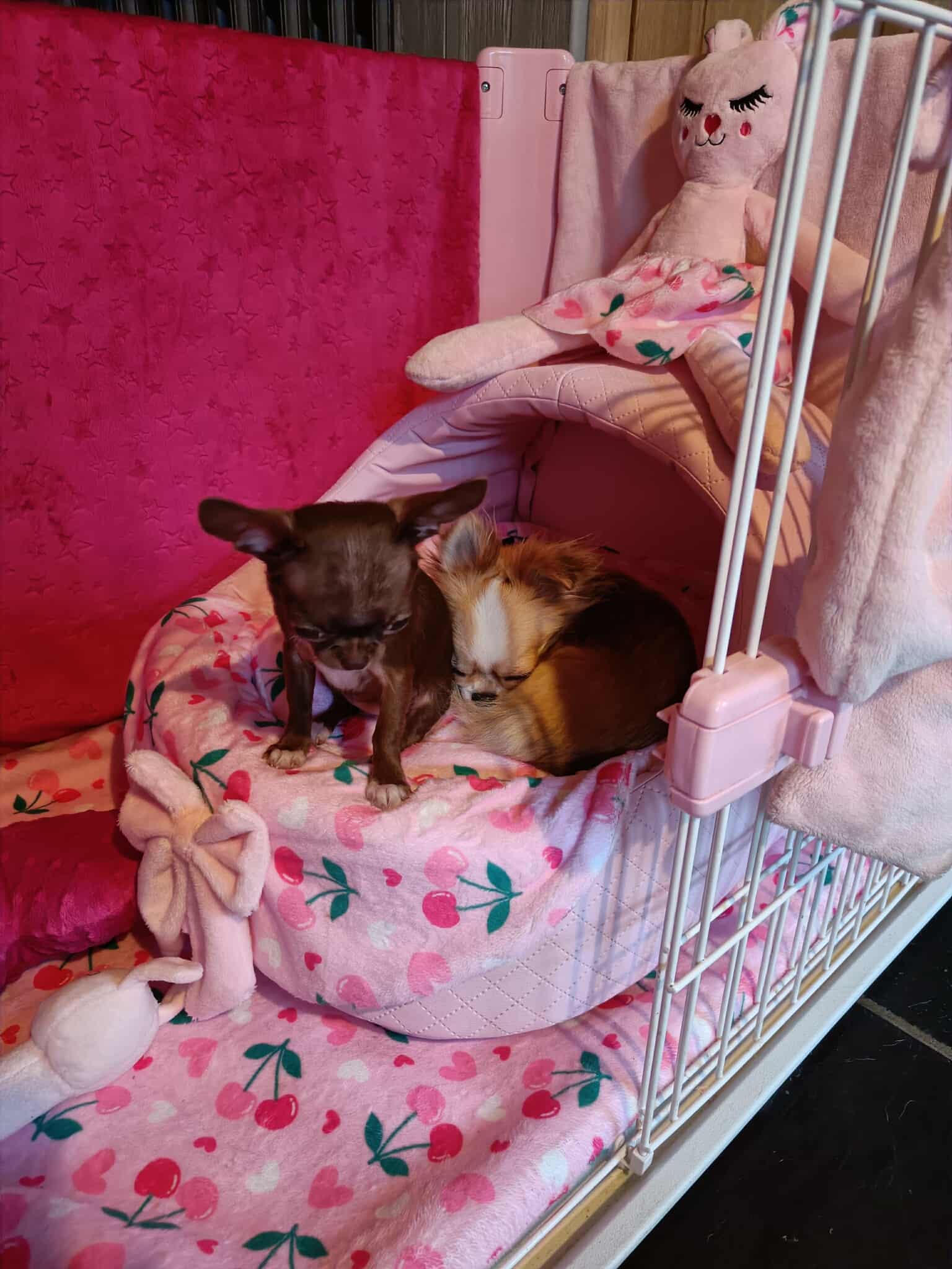 Received 935563598820309