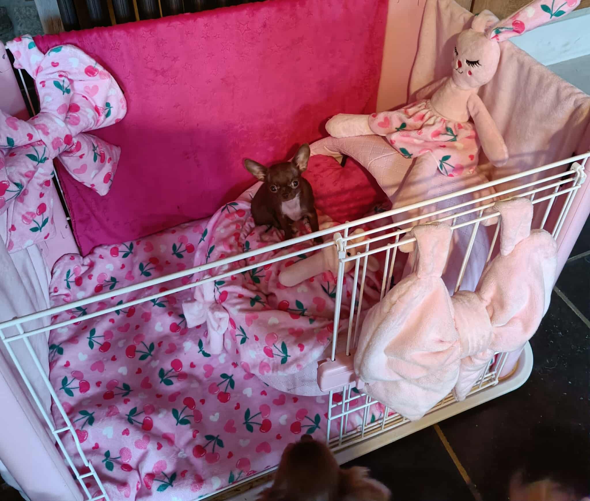 Received 1263378295699495