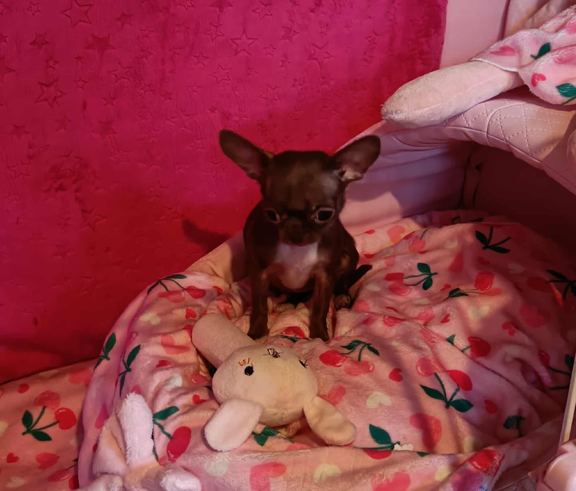 Received 899791756202713