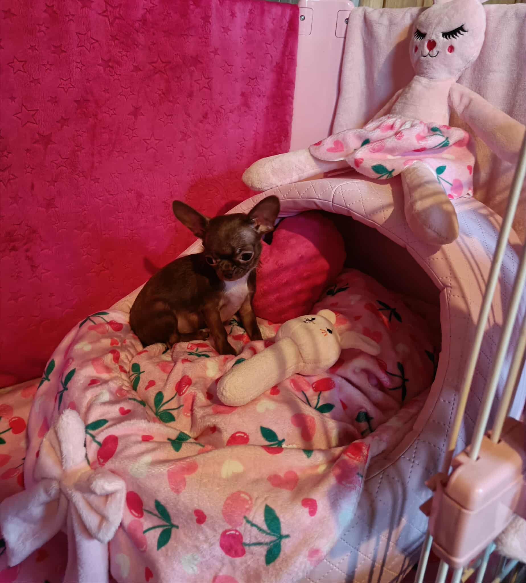 Received 1690001675496500